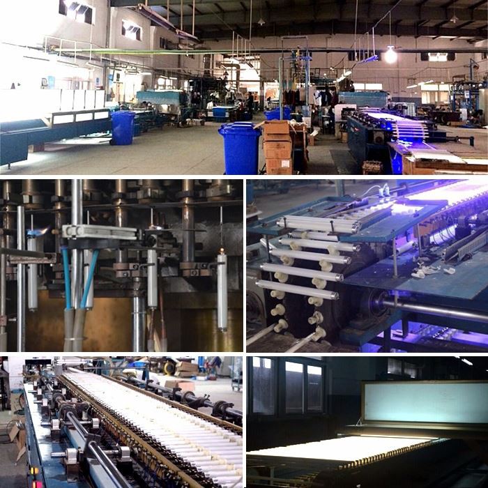 product line of t8 36w