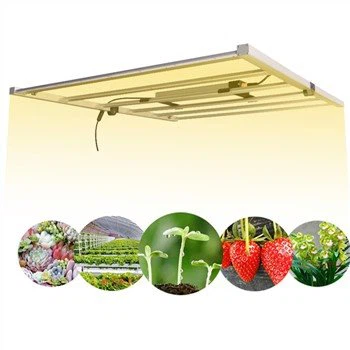 Luces LED de cultivo de marihuana de 720 W