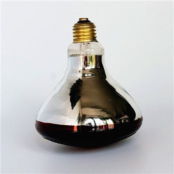 Bombilla de infrarrojo cercano