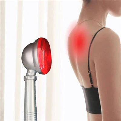 ¿Ha mantenido a sus mascotas abrigadas en invierno?